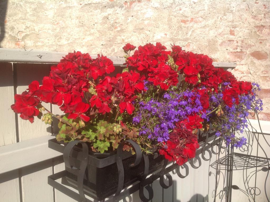 Bed & Breakfast Villa Sedin Harnosand Exterior foto